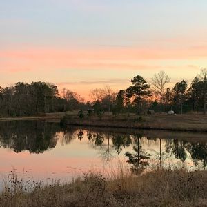 Meet your Posher, Carli